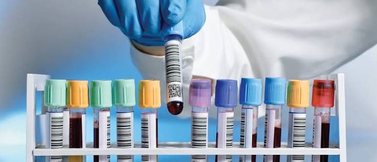 lab
